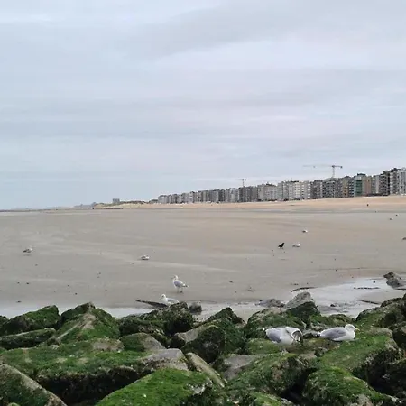In Near The Sea Appartement Coxyde