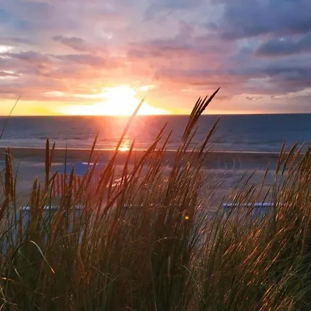 In Near The Sea *