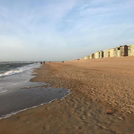 Appartement In Near The Sea