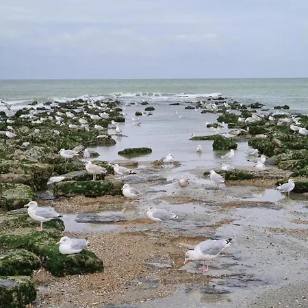In Near The Sea * Coxyde