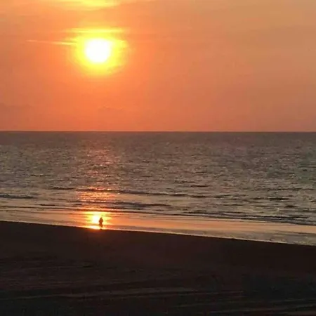 In Near The Sea